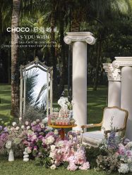 -CHOCO-启蔻婚礼(三亚公司)