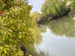 -同里国家湿地公园