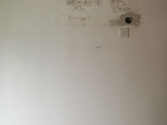 -立邦(益宝装饰城专卖店)