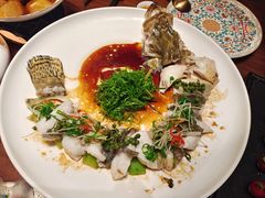 鲜花椒蒸桂花鱼-觅唐MITONG(鸟巢店)