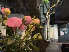 -Apollo·西班牙小酒馆(安福路店)