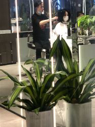 -罗亚帝造型