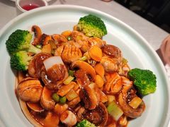 养生鲜口蘑-津沽传奇(红桥水木天成店)