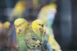 -酷嗒动物文化乐园(cutezoo西溪乐天城店)