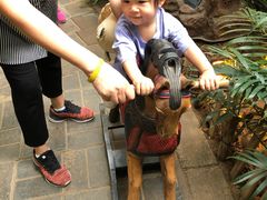 -呀路古热带植物园