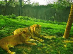 -北京野生动物园