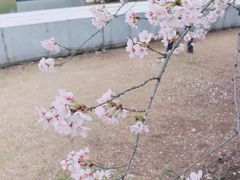 -上海辰山植物园