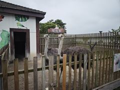 -太阳岛旅游度假区