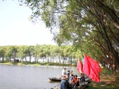 -洪湖生态旅游区