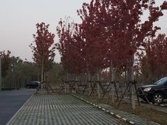 -东郊湿地公园