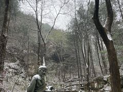 -王顺山国家森林公园