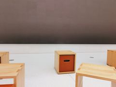 -Apple零售店(玄武湖店)