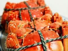 大闸蟹-新光酒家·河豚·海鲜·蟹料理(浦东店)