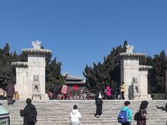 -洛阳古墓博物馆