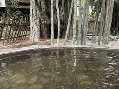 -龙达温泉生态城