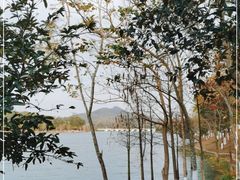 -凤岗南门山森林公园