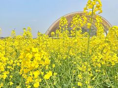 -中国天府农业博览园