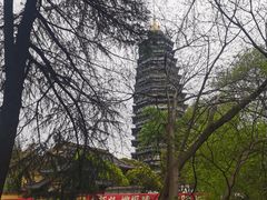 -红梅公园