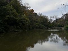 -黔灵山公园