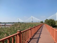 -芒洲湿地公园