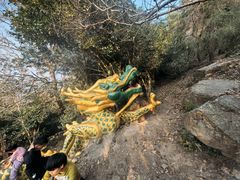 -紫金山山顶公园
