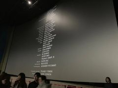 -天幕新彩云国际影城(激光巨幕店)