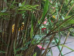 -渔乡米香·剁椒鱼头(四方坪店)