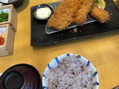 -胜博殿日式炸猪排(西红门店)