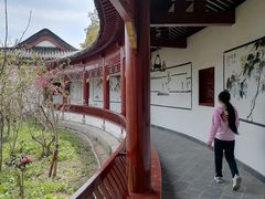 -南汇桃花村