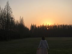 -黄海国家森林公园