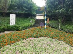 -重庆彩云湖湿地公园