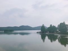 -东湖落雁景区
