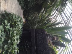 iphone_upload_pic-龙达温泉生态城