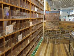 -猫的天空之城概念书店(印象城购物中心店)