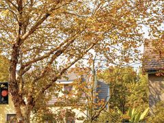 -应天大明王朝·南京菜(中山陵店)