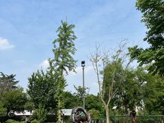 -成飞公园