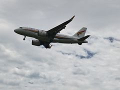 -空港花田景区