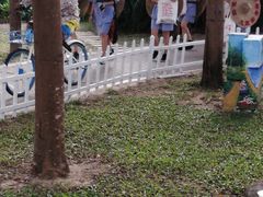 -三亚红色娘子军演艺公园景区
