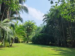 -中国科学院西双版纳热带植物园