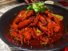 -红辣椒·川菜·火锅(张杨路店)