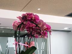 -锦尚阁烤鱼(望京新荟城店)