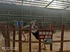 -呀路古热带植物园