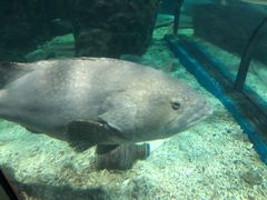 -福州罗源湾海洋世界旅游区