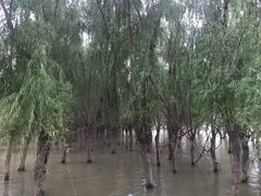 -武汉两江游览·夜游长江(汉口粤汉码头)