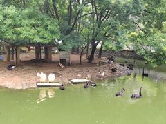 -黔灵山公园