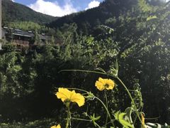 -东天目山风景区