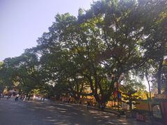 -东西巷