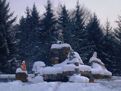 -横道河子东北虎林园