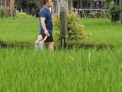 -洪湖家庭农场·团建·露营·会议