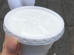 -洪馨椰子